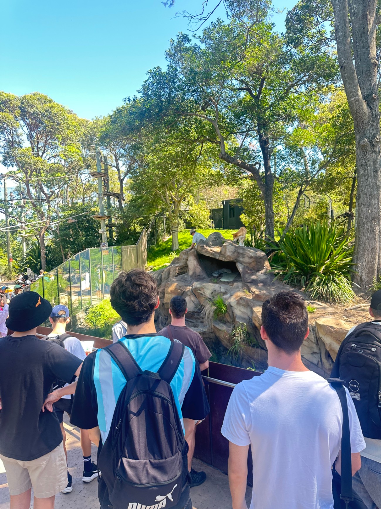 With George group visiting Taronga Zoo